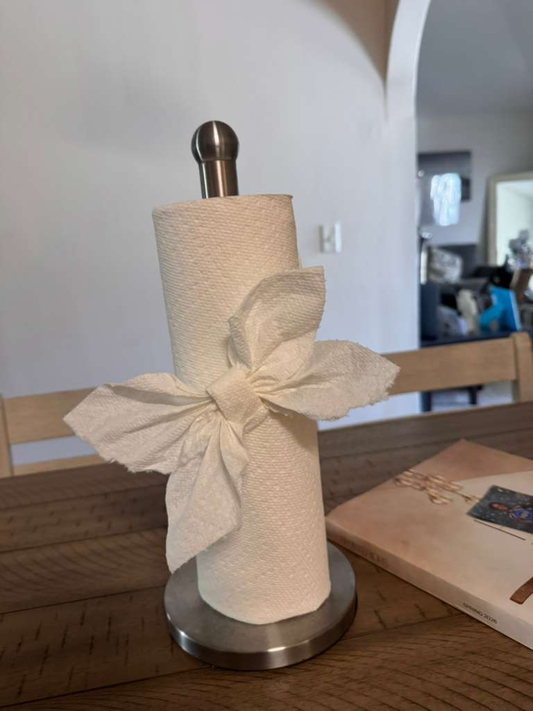 Paper Towel Holder